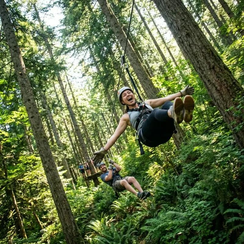 Ziplining at Alpine Adventures